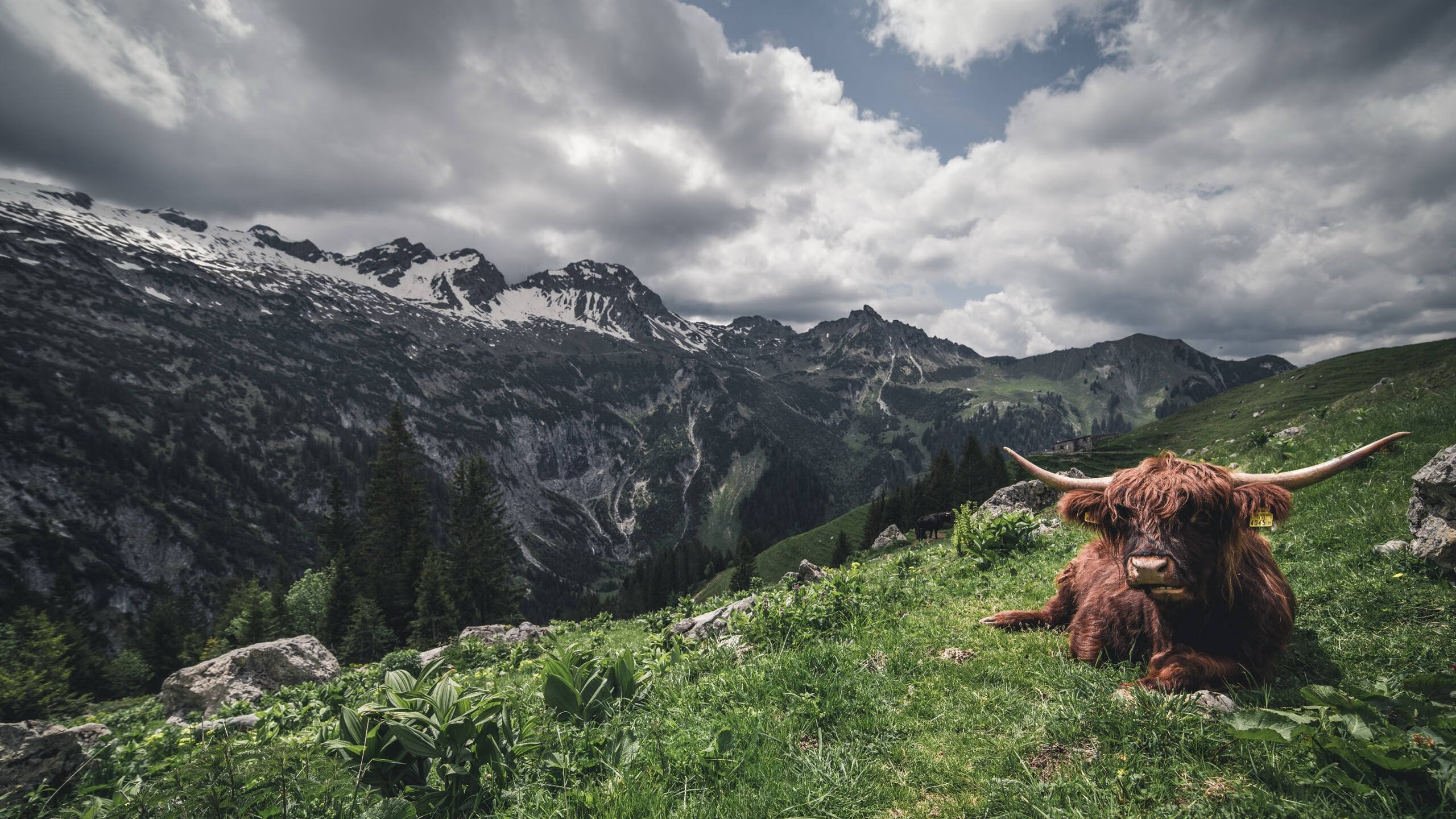 kaiyun官方入口登录-_传统赛事焕新颜：经典场地带来新颖体验_，赛事活动宣传