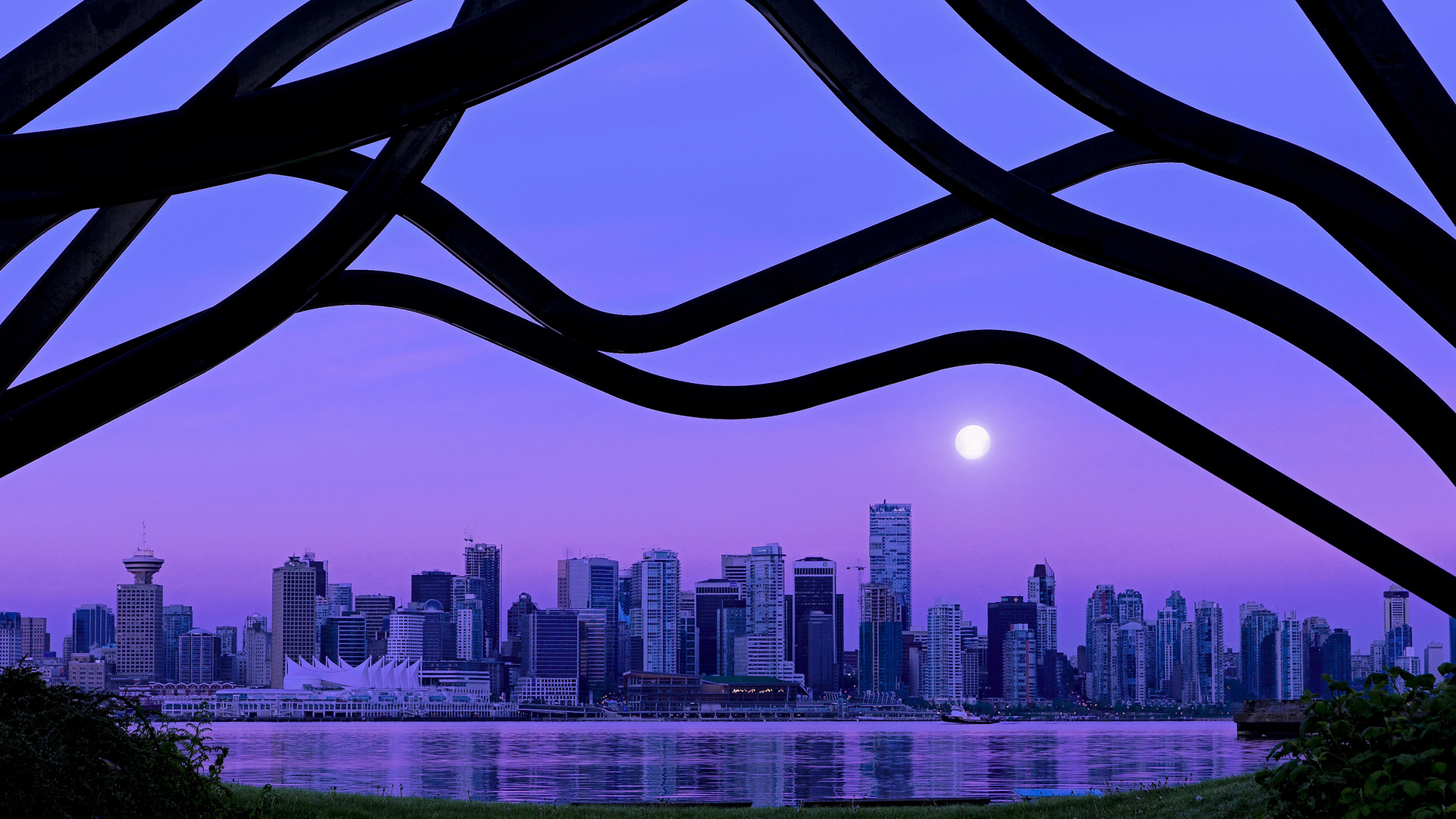 开云官方网页登录-_运动员简介：从新秀到传奇的奋斗历程_，运动员介绍