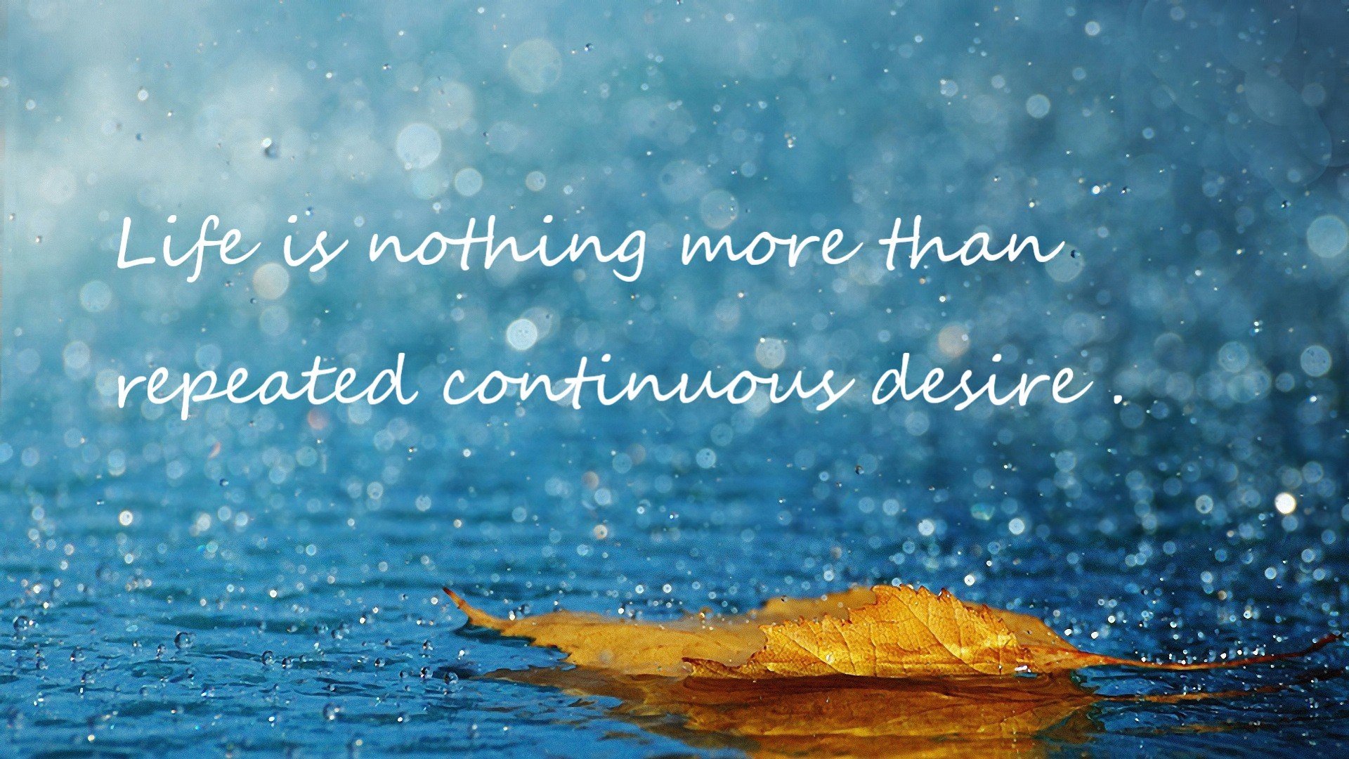 _骑士队持续强势,球队士气高昂_,骑士队介绍