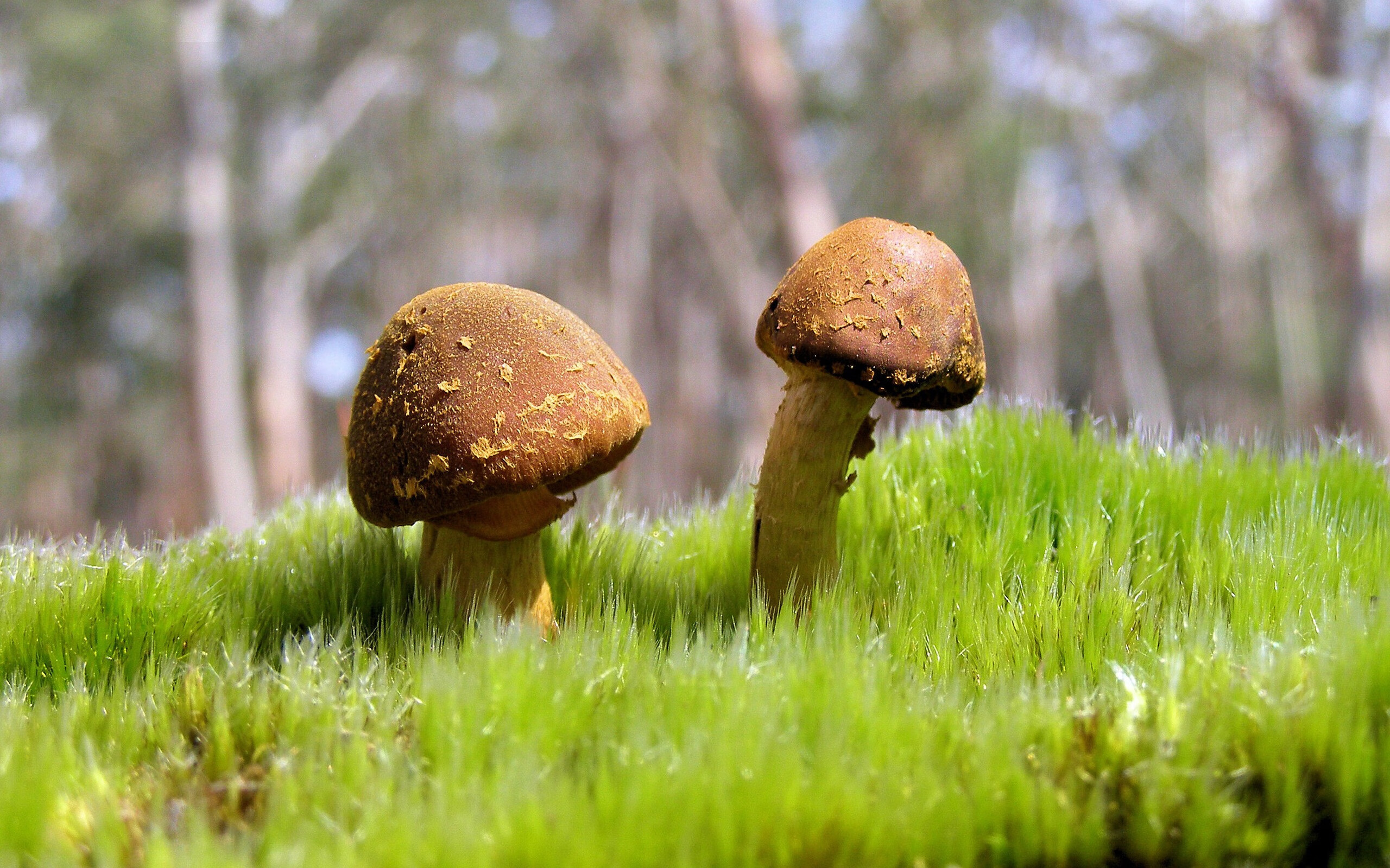 kaiyun体育综合-_魔术逆转精彩纷呈，士气高涨_，魔术演示