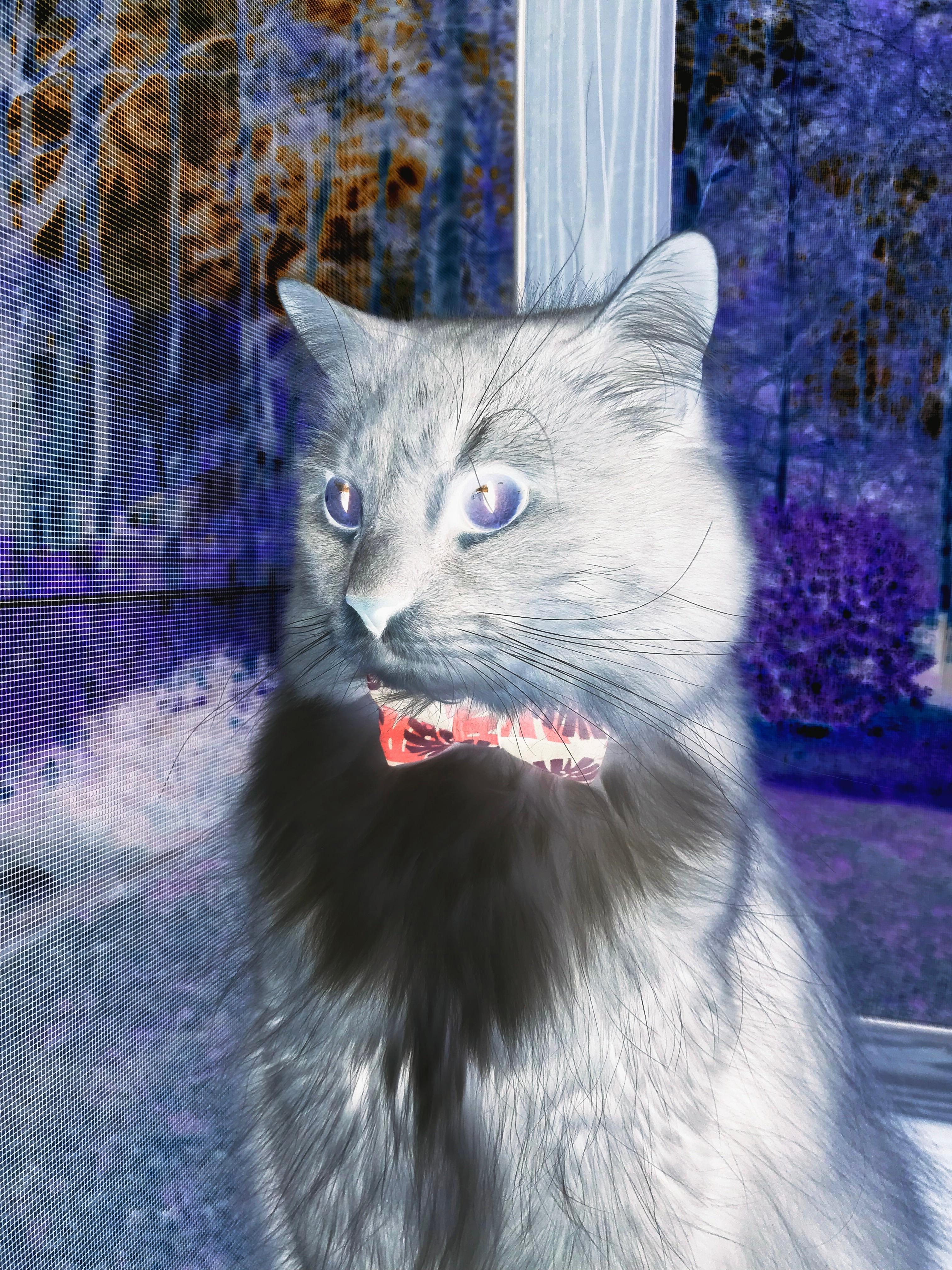 Kaiyun官方登录入口-“冠军悬念持续升级：排名变幻牵动百万粉丝心”，《冠军》