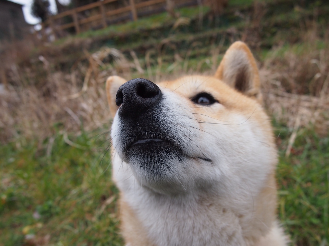 开云官方网页登录-“英超关键战：豪门对决，胜负关乎后续走势”，英超豪门多