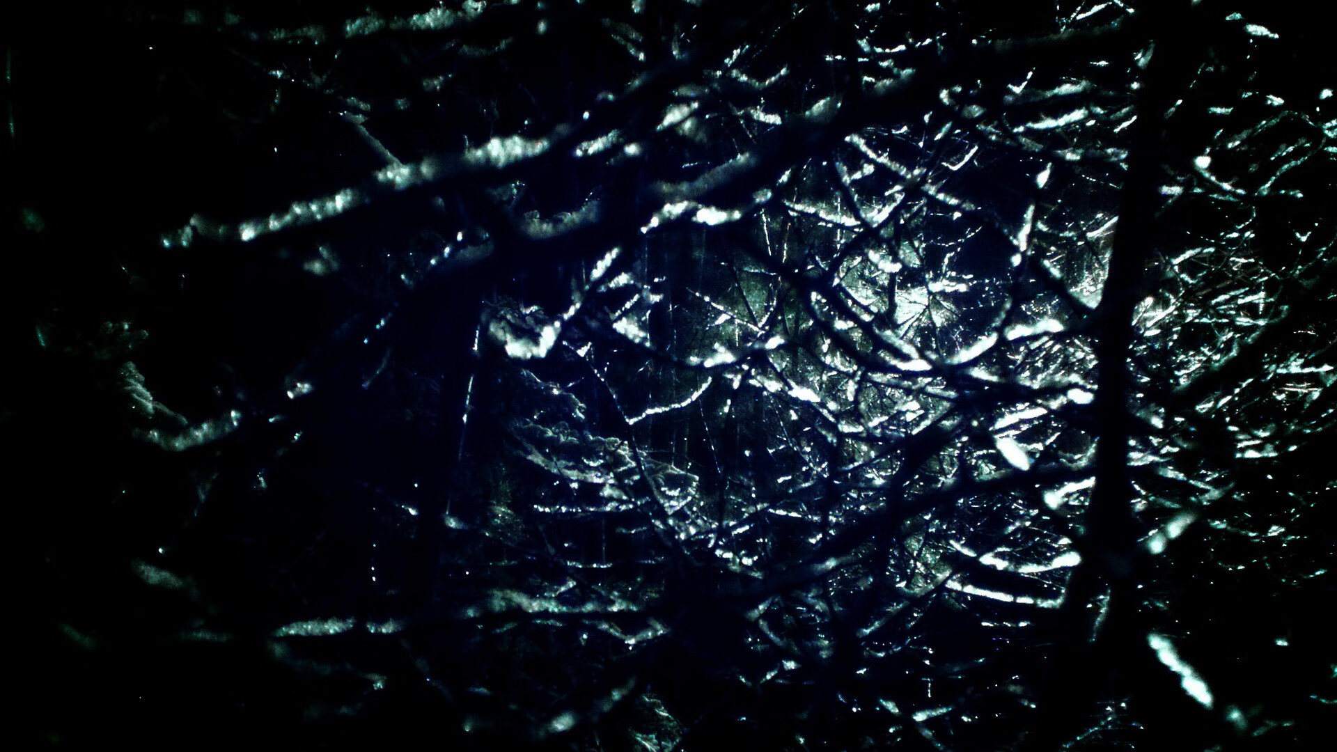 《顶级直播平台策略:如何吸引更多粉丝?》,这样直播才吸引人