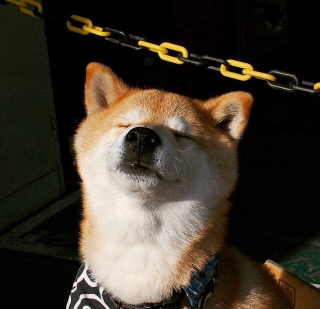 中国足球队伍国际比赛经验持续积累,战绩逐步提升,中国国家足球队的比赛