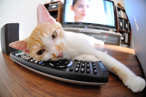 kaiyun官方入口登录-全国青少年“校园篮球推广月”在各地同步启动，2020年全国青少年校园篮球体育传统特色学校