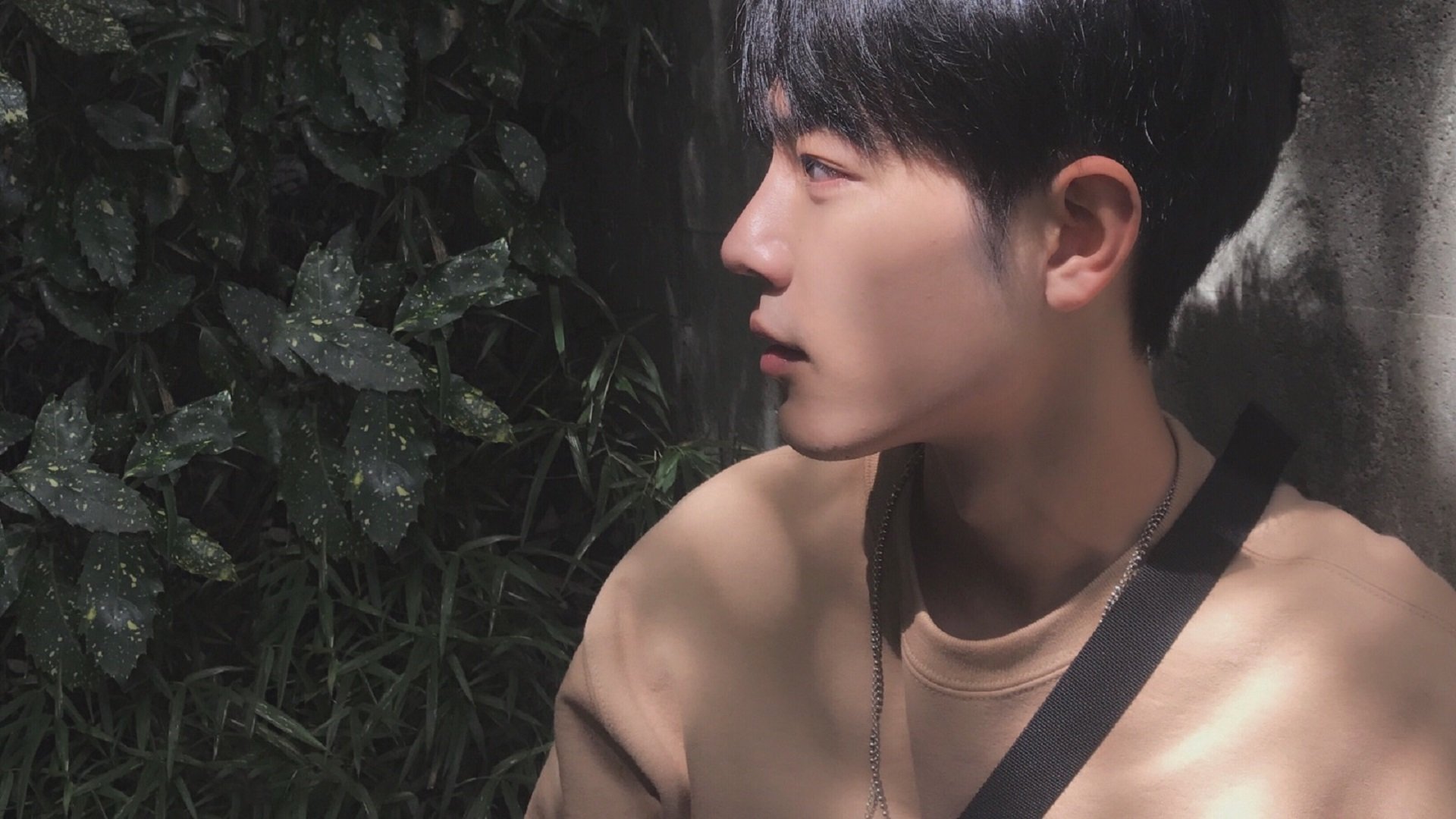 KAIYUNAPP-赛场追踪：每一圈背后的风云变幻，赛场逐鹿是什么意思