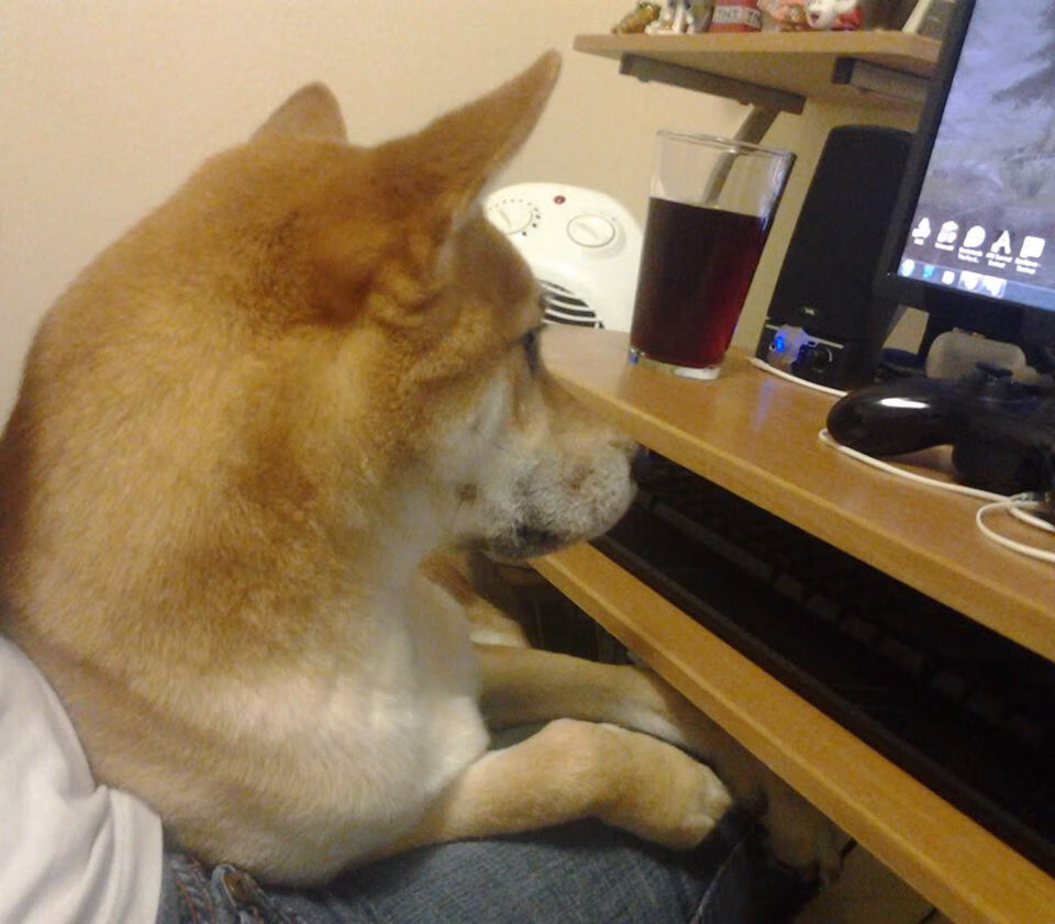 CBA球队青训体系创新路径，cba青训球员界定