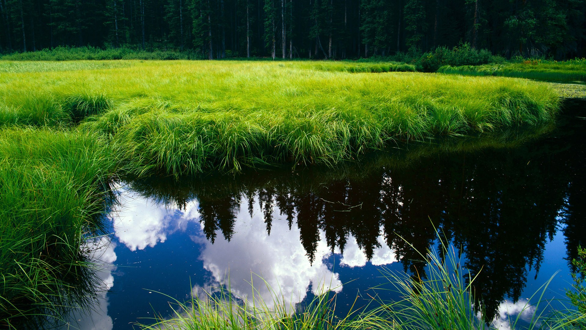 kaiyun体育app-广厦男篮团队合作，获胜在望，广厦男篮最近情况