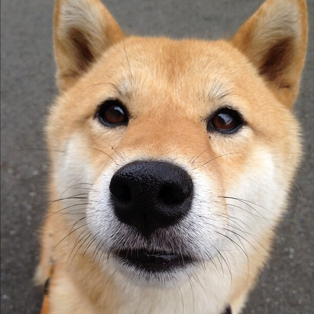 kaiyun.com-美洲队计划扩建主场，提升球迷体验，美洲球赛