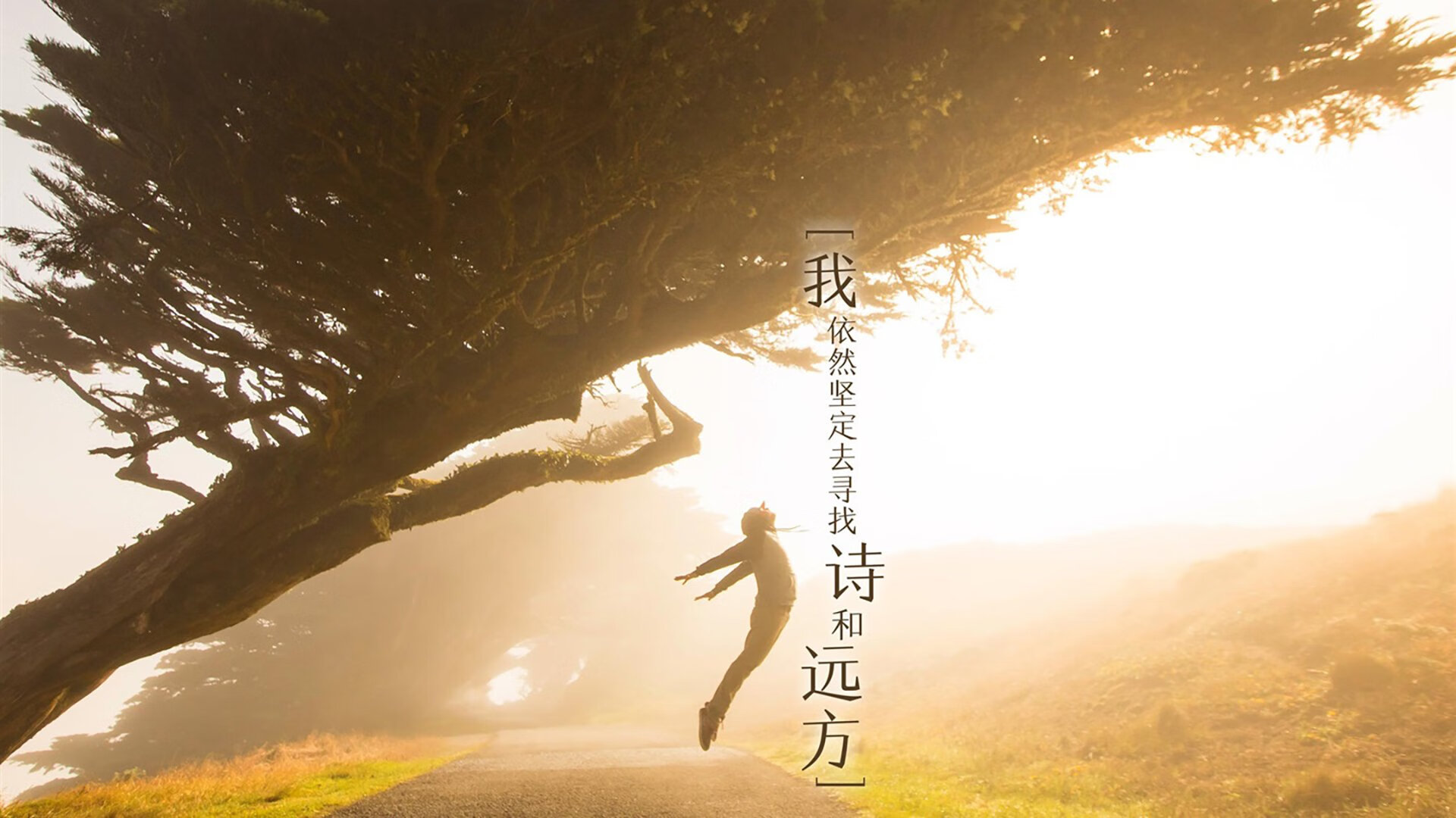 开云入口-体育场馆数字化运营管理，体育场馆信息化管理的发展方向