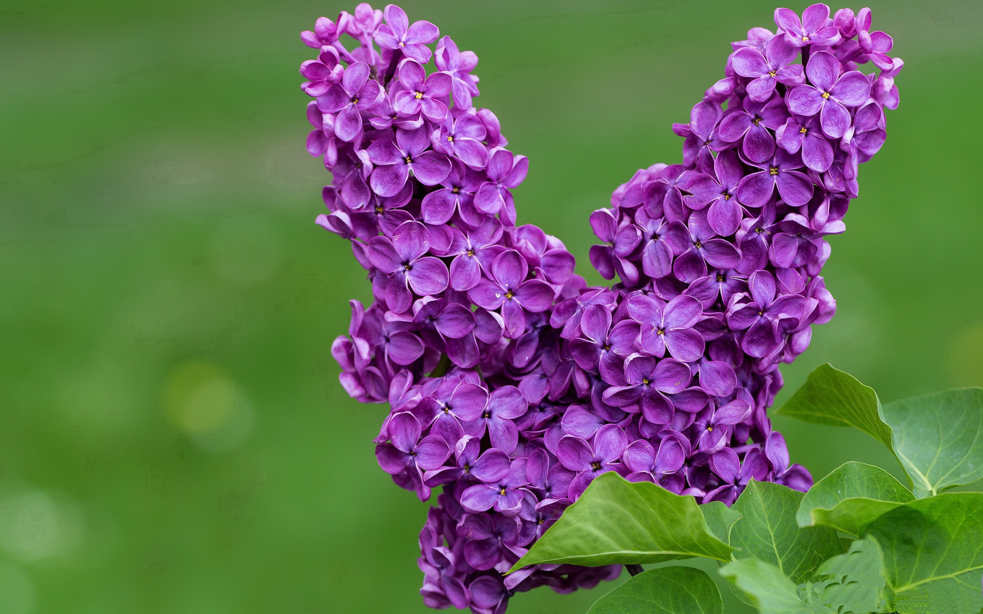 青训球员阶段性成长监控系统缺失,青训球员定义