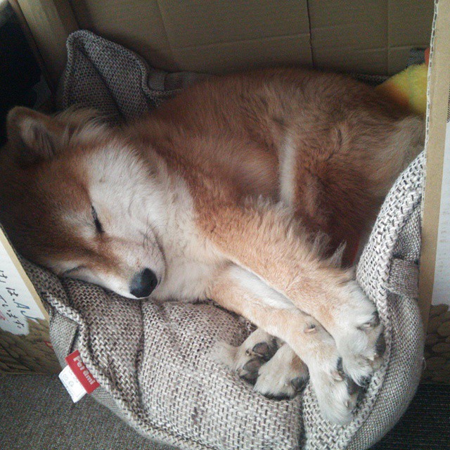 开云官方-中国女排主帅称换人调整取得实效，中国女排主帅选拔冷门出现