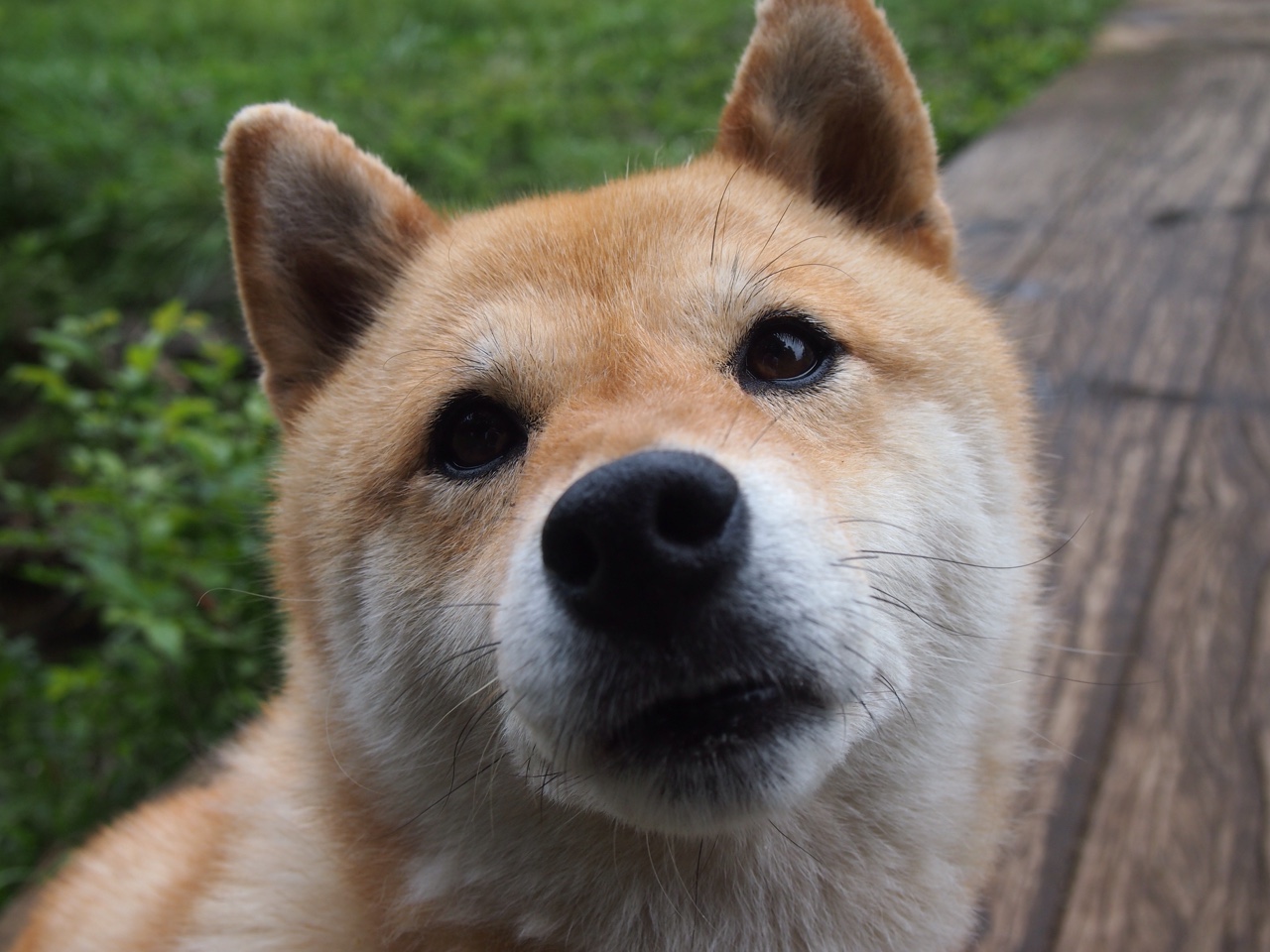 开云·体育官网APP下载-中国足球联赛球队体能训练标准更新，国足 体能