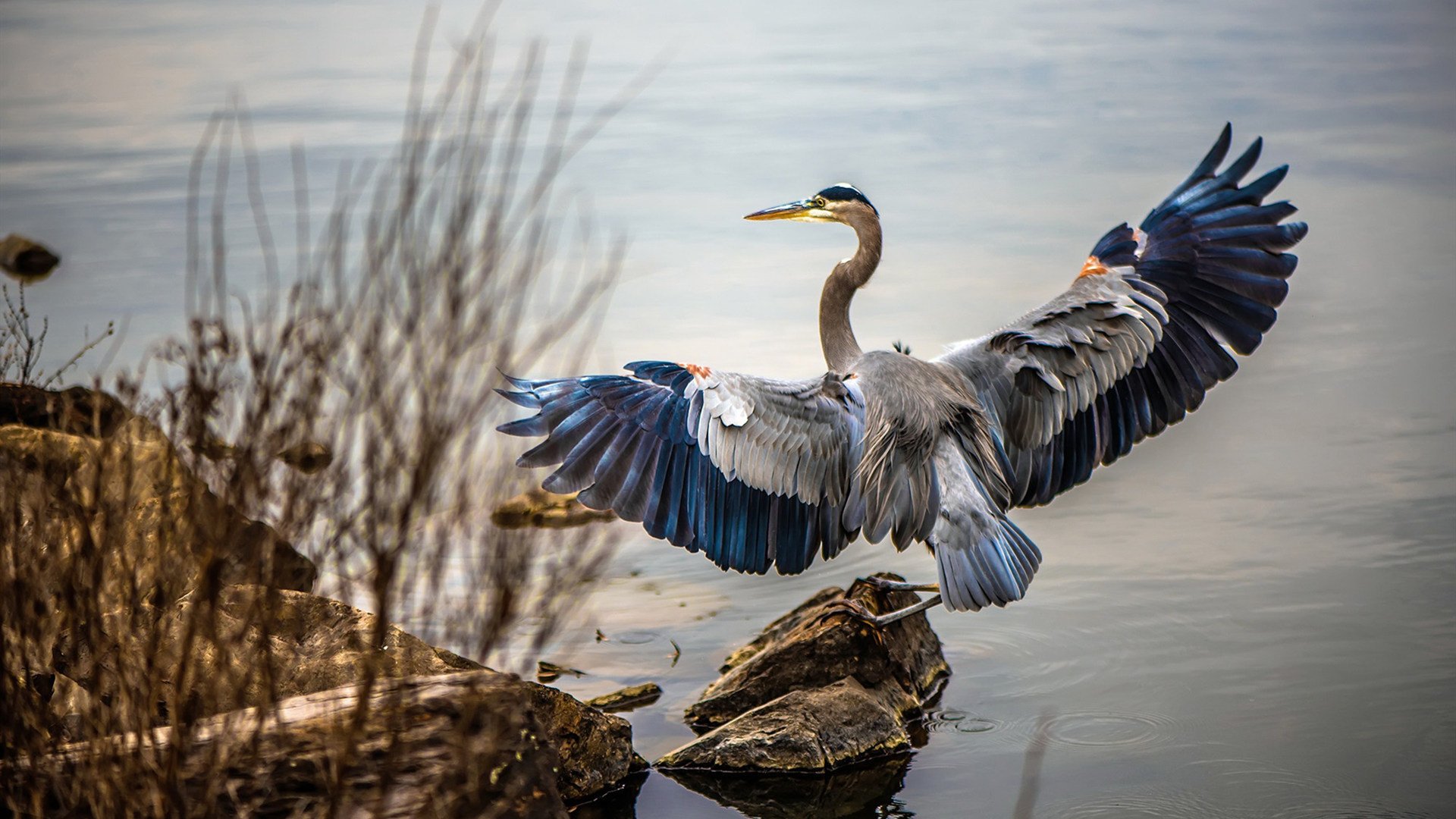 开云kaiyun-法国新世纪天才崭露头角，未来前景广阔