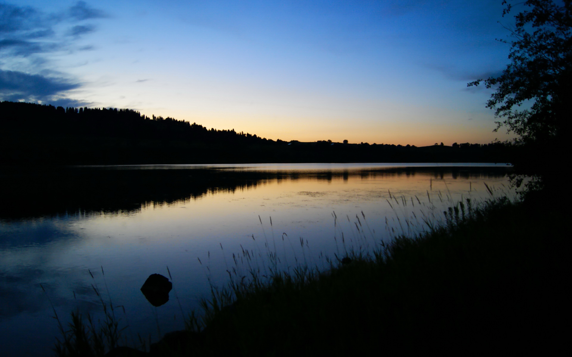 谷爱凌新赛季首战挑战更高难度，谷爱凌预赛第一